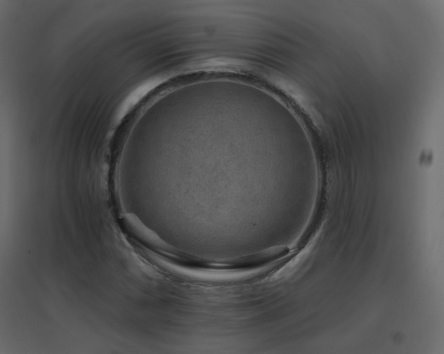 X0000096661066200802051213