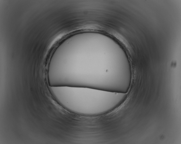 X0000096661067200802051213