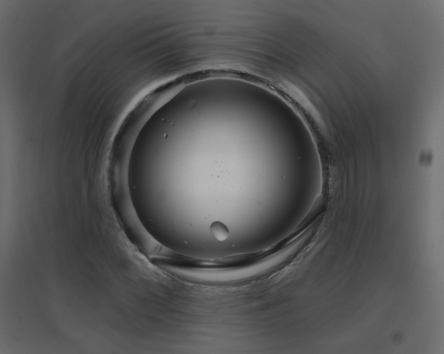 X0000096661068200802051213