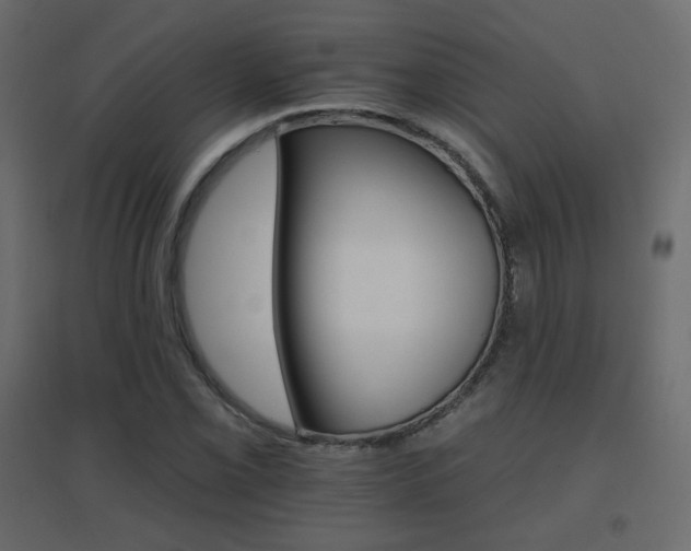 X0000096661069200802051213