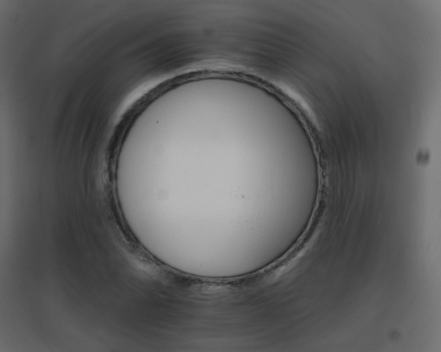X0000096661070200802051213