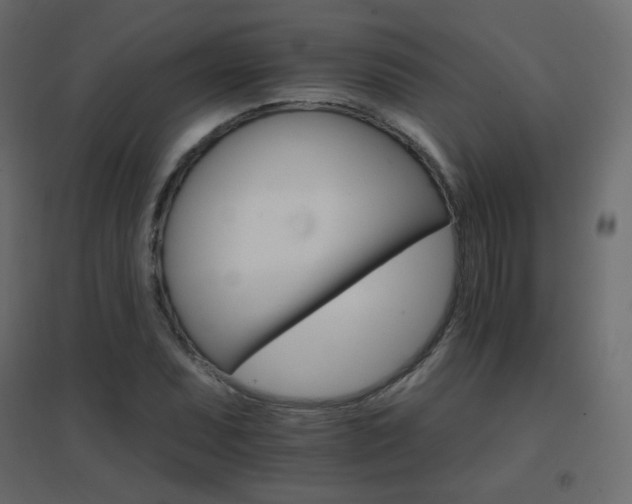 X0000096661071200802051213