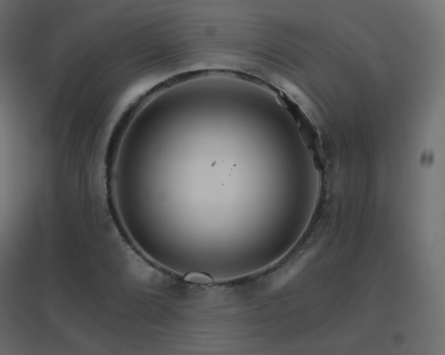 X0000096661072200802051213