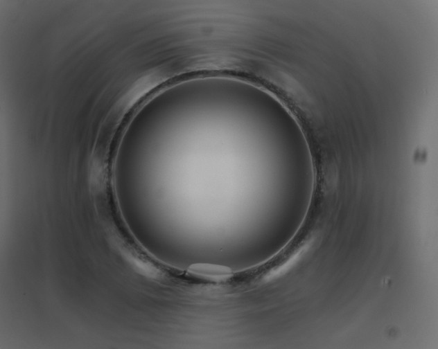 X0000096661073200802051213