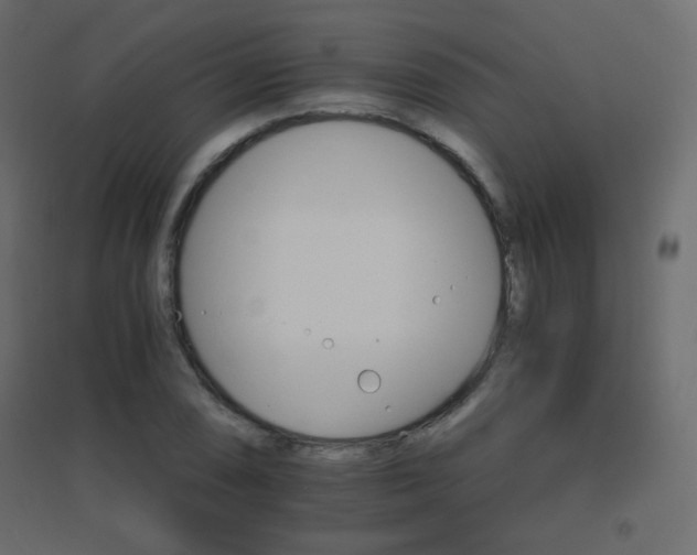 X0000096661074200802051213