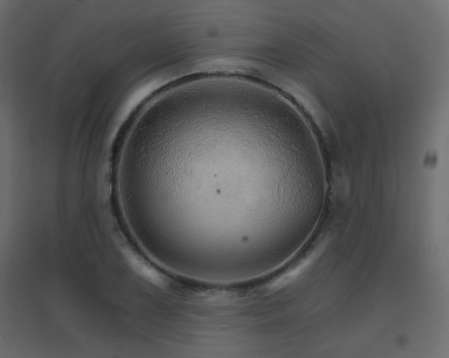 X0000096661075200802051213