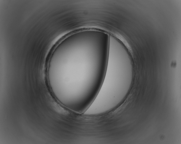 X0000096661076200802051213