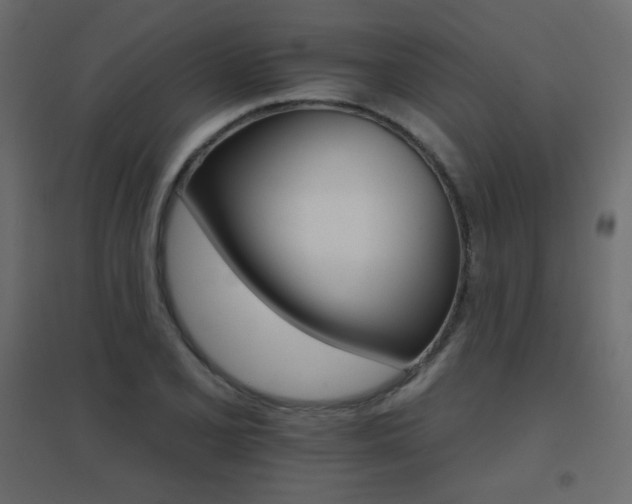 X0000096661077200802051213