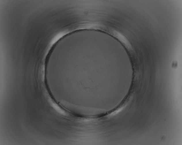X0000096661079200802051213