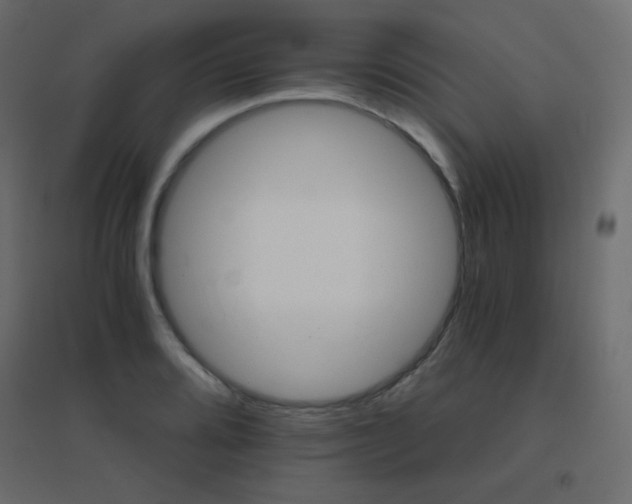 X0000096661080200802051213