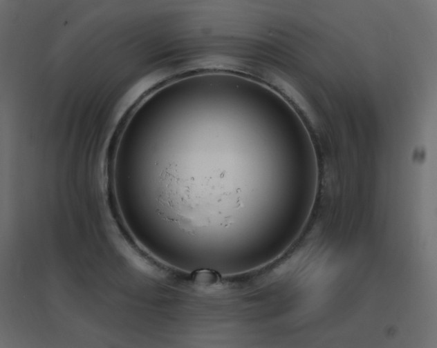 X0000096661082200802051213