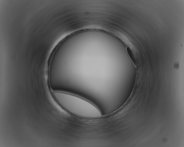X0000096661084200802051213