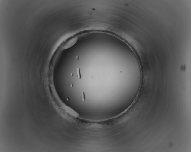 X0000096661085200802051213