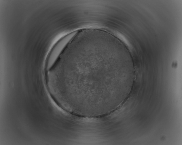 X0000096661087200802051213