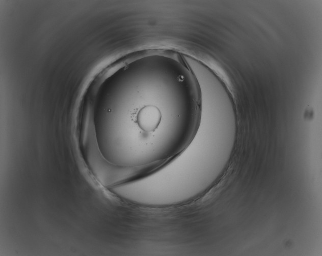 X0000096661088200802051213