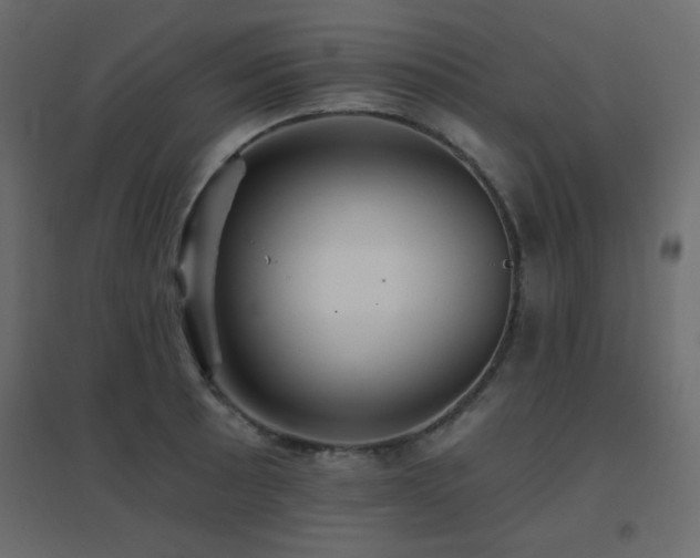 X0000096661089200802051213