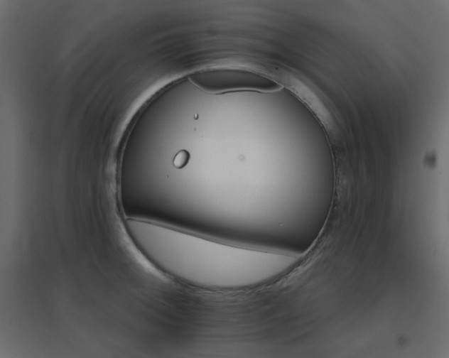 X0000096661092200802051213