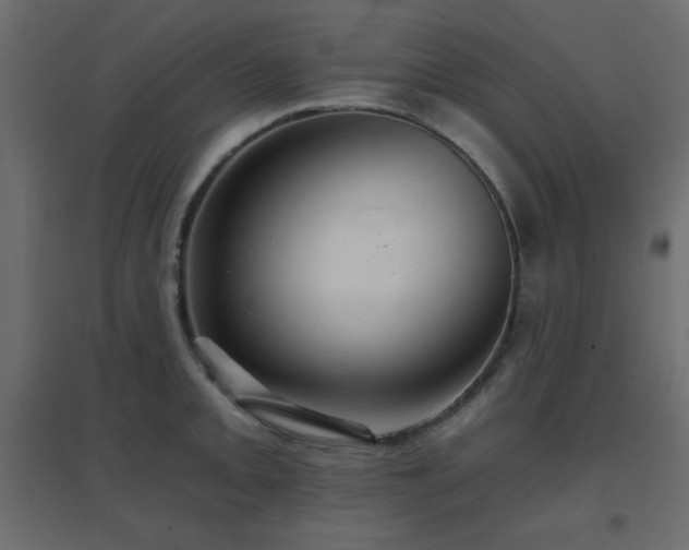 X0000096661093200802051213