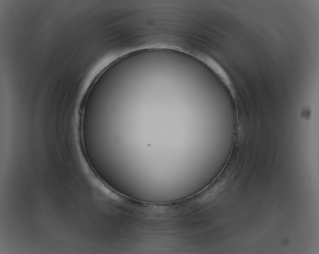 X0000096661096200802051213
