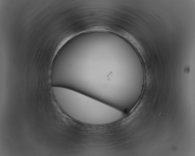 X0000096661097200802051213
