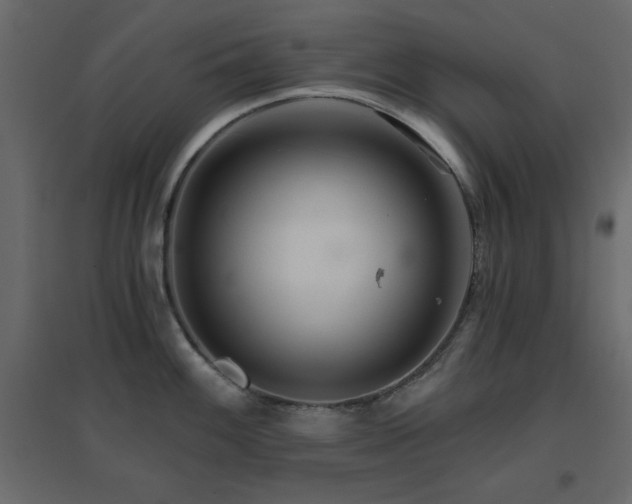 X0000096661100200802051212