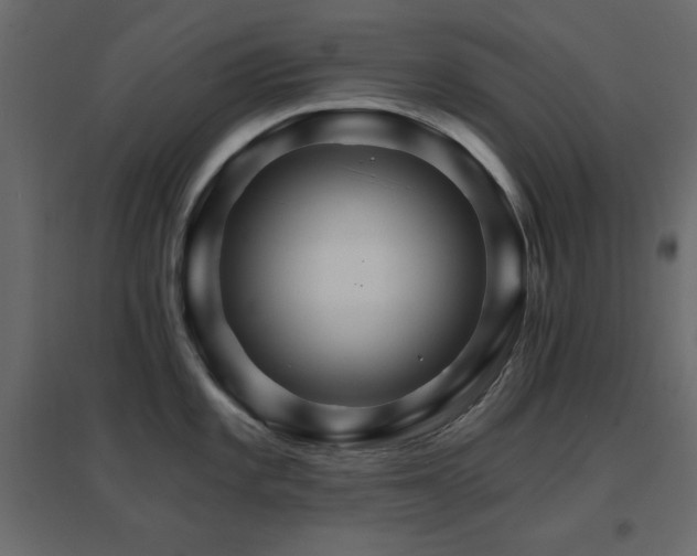 X0000096661101200802051212