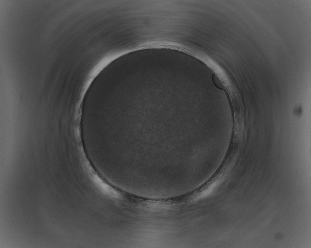X0000096661102200802051212