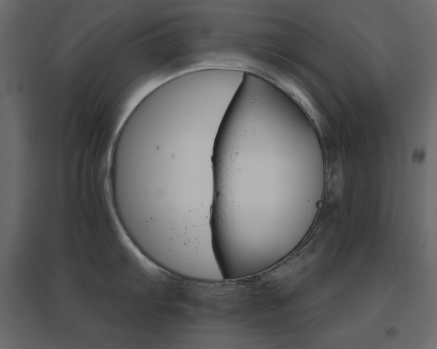 X0000096661103200802051212