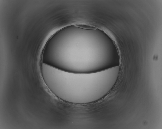 X0000096661104200802051212