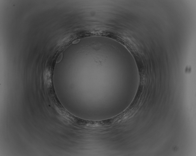 X0000096661106200802051212