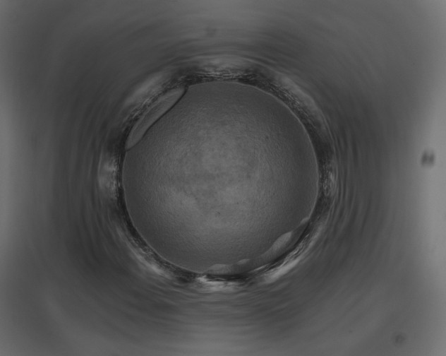 X0000096661108200802051212