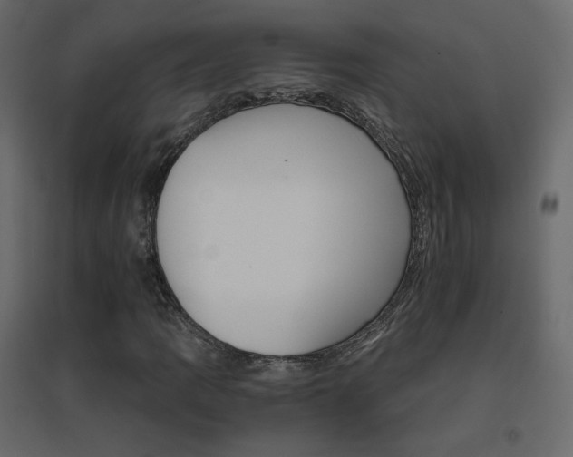 X0000096661109200802051212