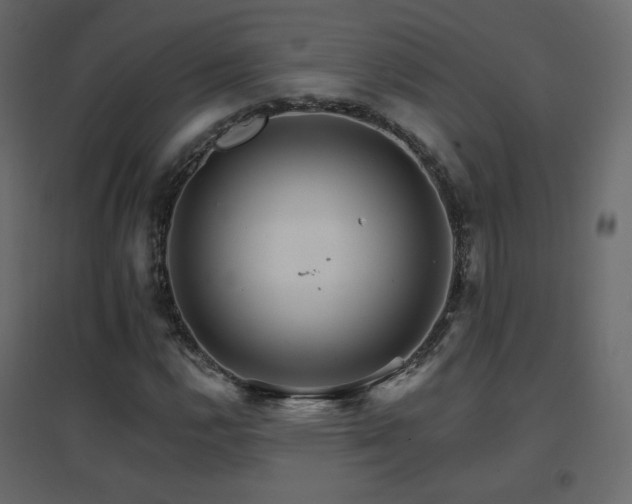 X0000096661112200802051212