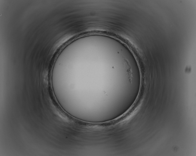 X0000096661113200802051212