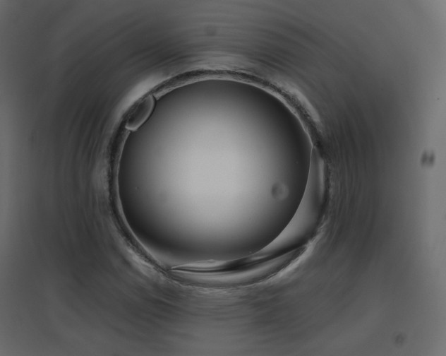 X0000096661114200802051212