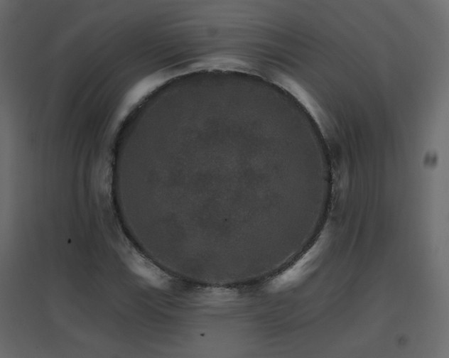 X0000096661115200802051212