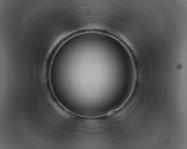 X0000096661116200802051212