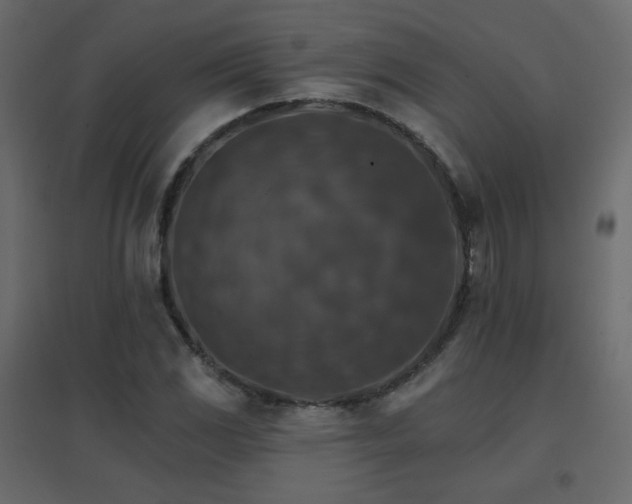 X0000096661117200802051212