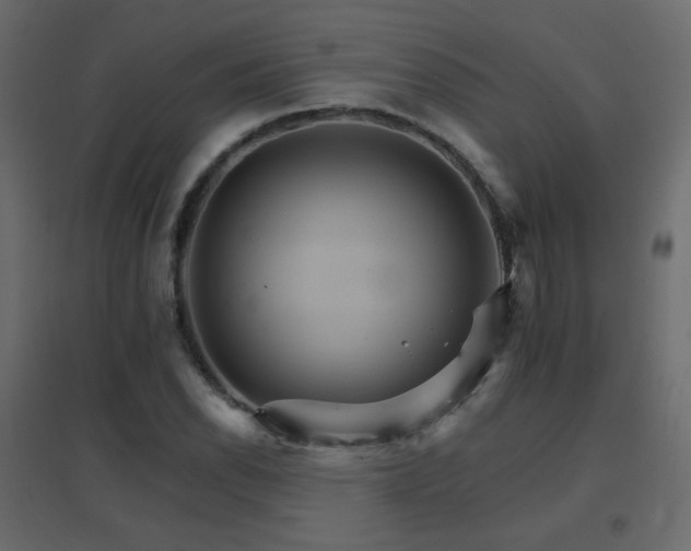 X0000096661118200802051212