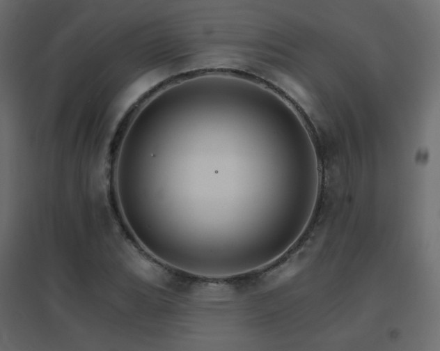X0000096661119200802051212
