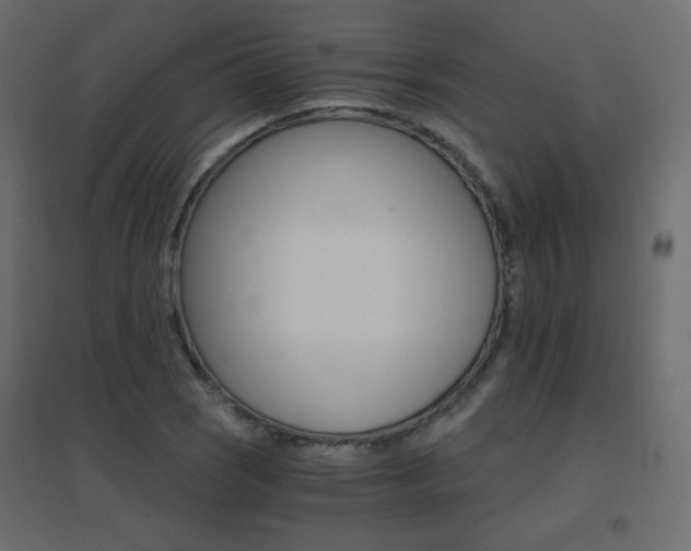 X0000096661121200802051212