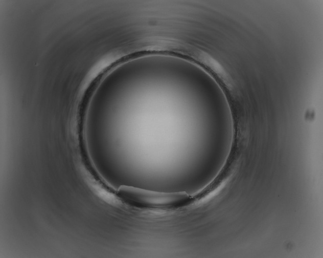 X0000096661122200802051212