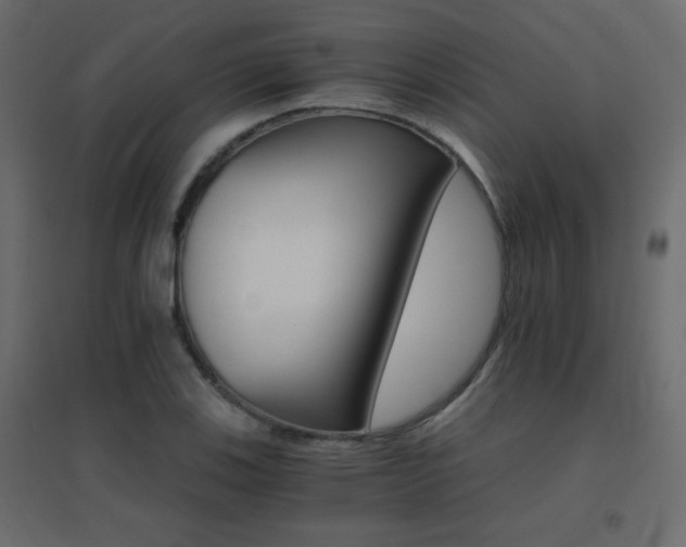 X0000096661123200802051212