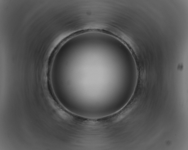 X0000096661124200802051212