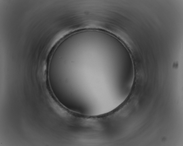 X0000096661126200802051212
