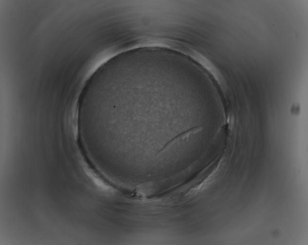 X0000096661127200802051212
