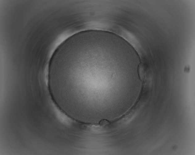 X0000096661128200802051212