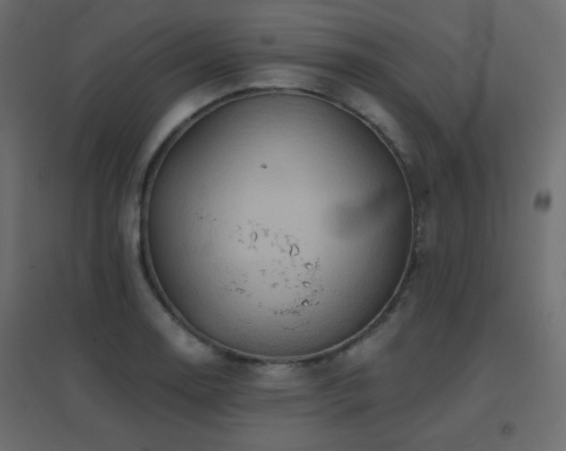 X0000096661130200802051212