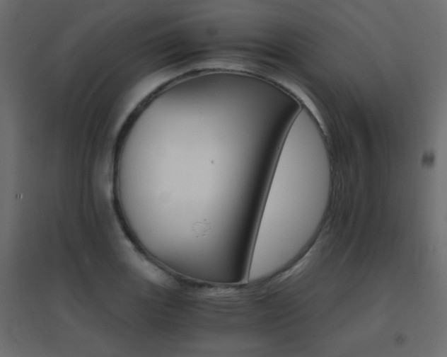 X0000096661131200802051212