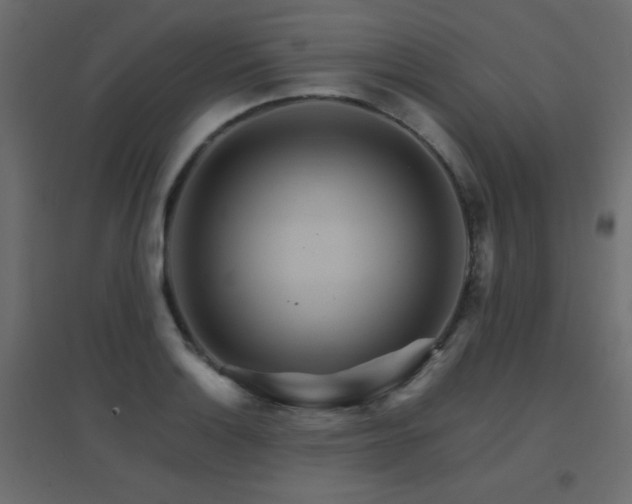 X0000096661132200802051212